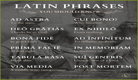 A Profile Of A Latin Beauty